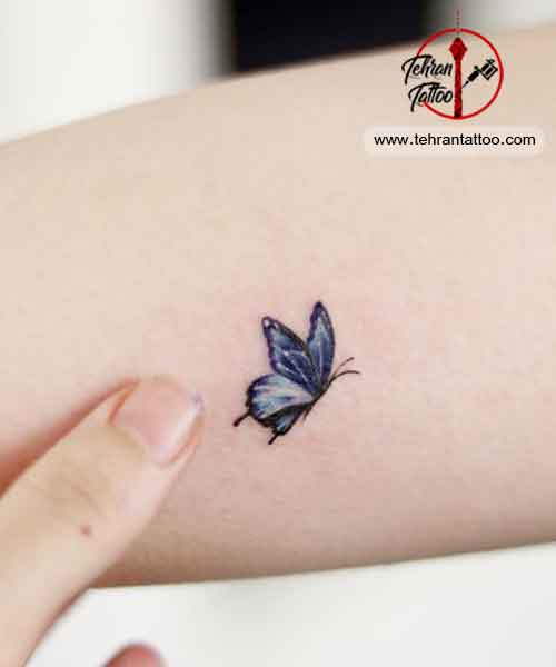 butterfly tattoo - طرح تاتوی پروانه