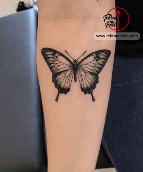 butterfly tattoo - طرح تاتوی پروانه